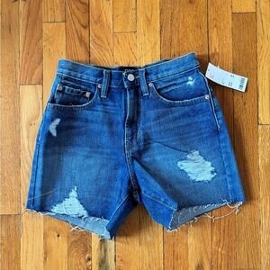 BDG Blue Jean Shorts Distressed Cut-Off Style